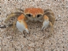 Yenge� Hakk�nda K�sa Bilgi
