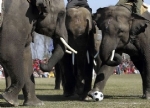 Filler Futbol Oynuyor