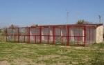 KAZ  BARINAKLAR