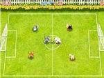 Kediler Futbol Oynuyor