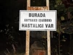 Sr Hastalklar     nemli Bakteriyel Hastalklar