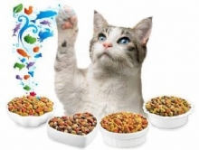 Kedi  Yem ve Mamalar�