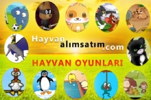 Oyunlar